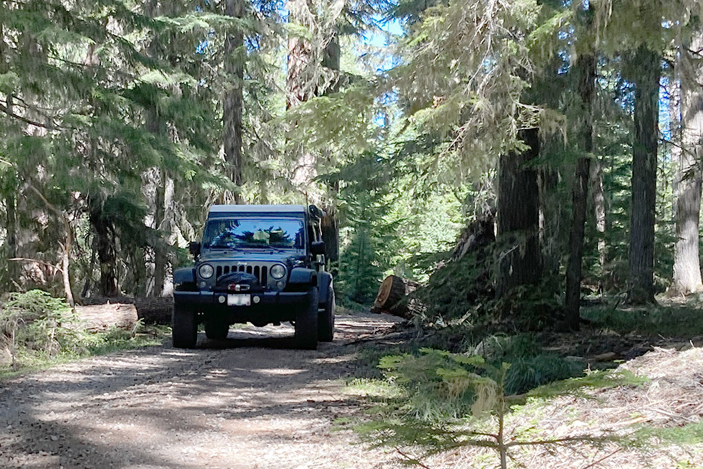 Mount Hood section of the ORBDR between Timothy Lake and Summit Lake