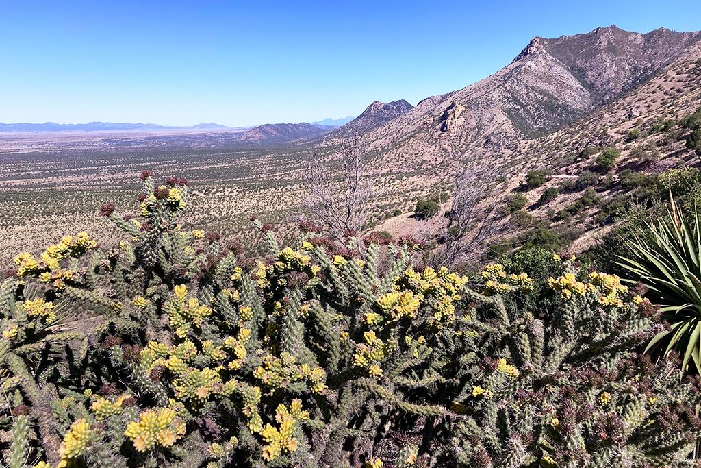 The Huachuca Mountains along the U.S. – Mexico border